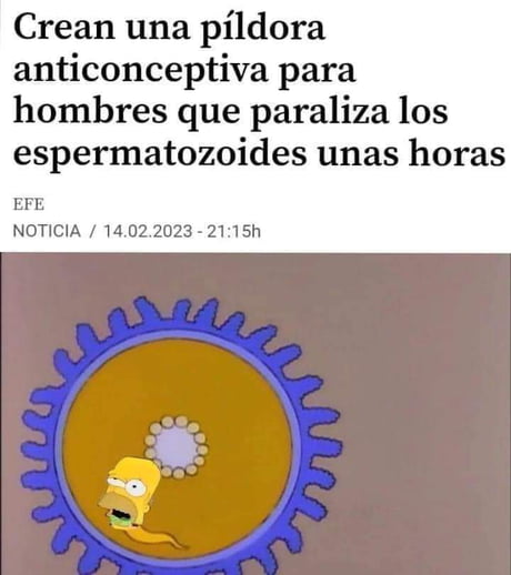 Memes: Notícias sobre memes