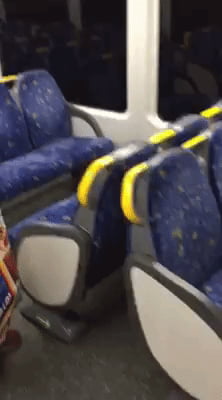 Train seat in Australia