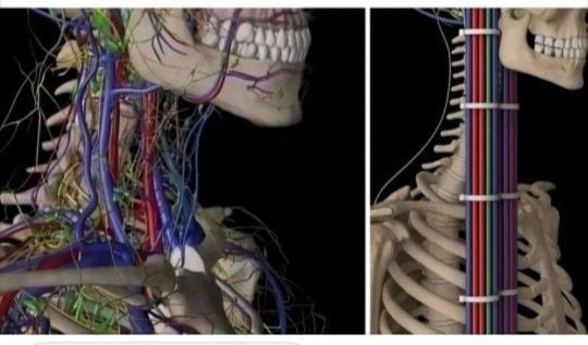 When An Engineer Goes To A Medical School ...!
