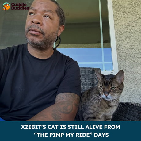 Best Funny xzibit Memes - 9GAG