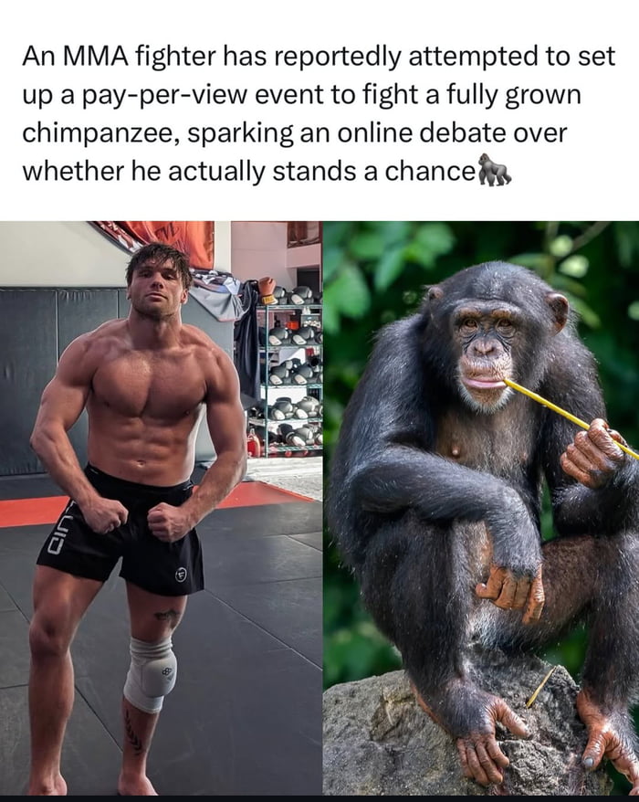 NGL, I'd watch this