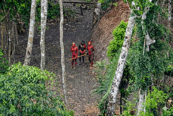 The Mashco-Piro, an uncontacted Indigenous tribe in the Peruvian Amazon. Recent drone footage from 2024-2025 shows them near rivers, often painted red for protection. They're one of the largest such groups, avoiding outside contact