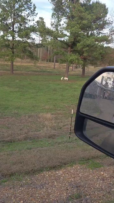 This guy captures a beautiful moment in nature