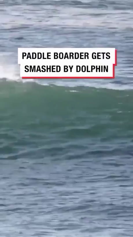 Mooove, b*tch, get out the way!