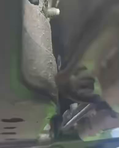 Her : where did you learn that?