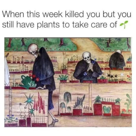 Best Funny death Memes - 9GAG