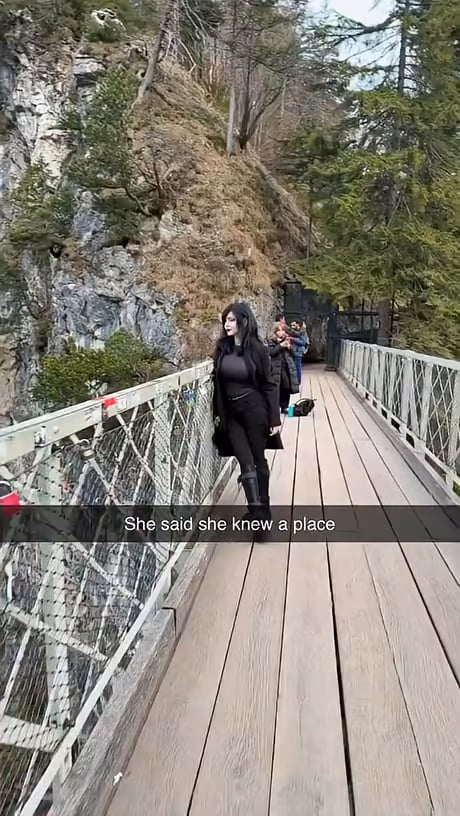 What a VIEW
