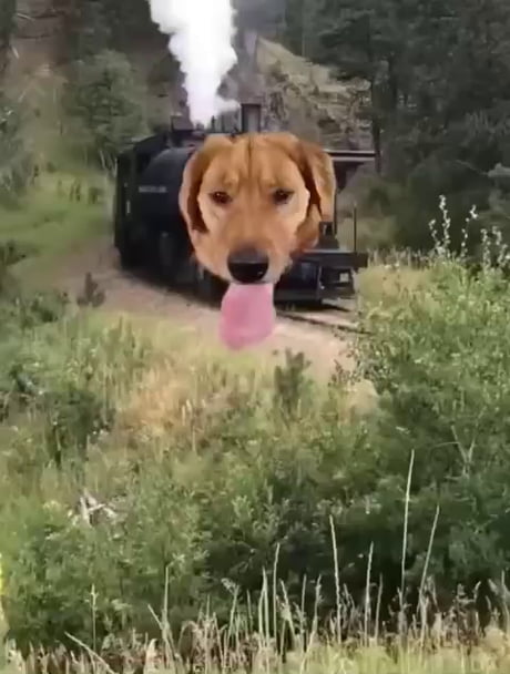This wins the internet for today!