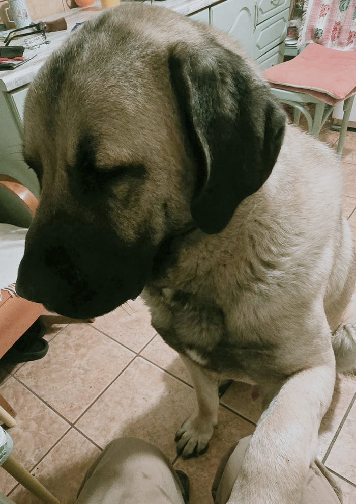 I'm celebrating my birthday with my best friend.