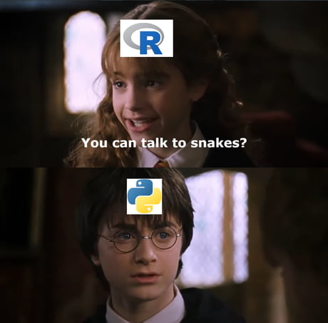 Best Funny python Memes - 9GAG