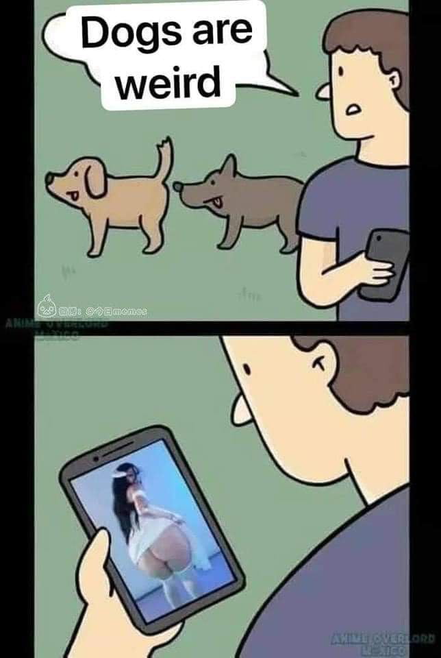 Every dog fall in love one day...