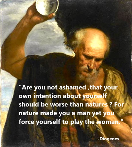 Best Funny Diogenes Memes Gag