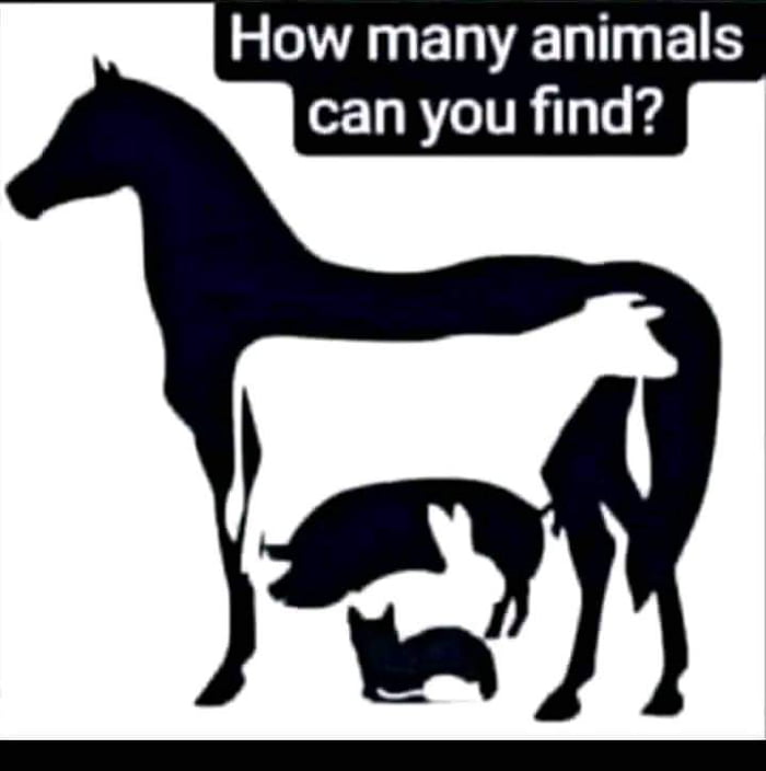 How many animals can you find? - 9GAG