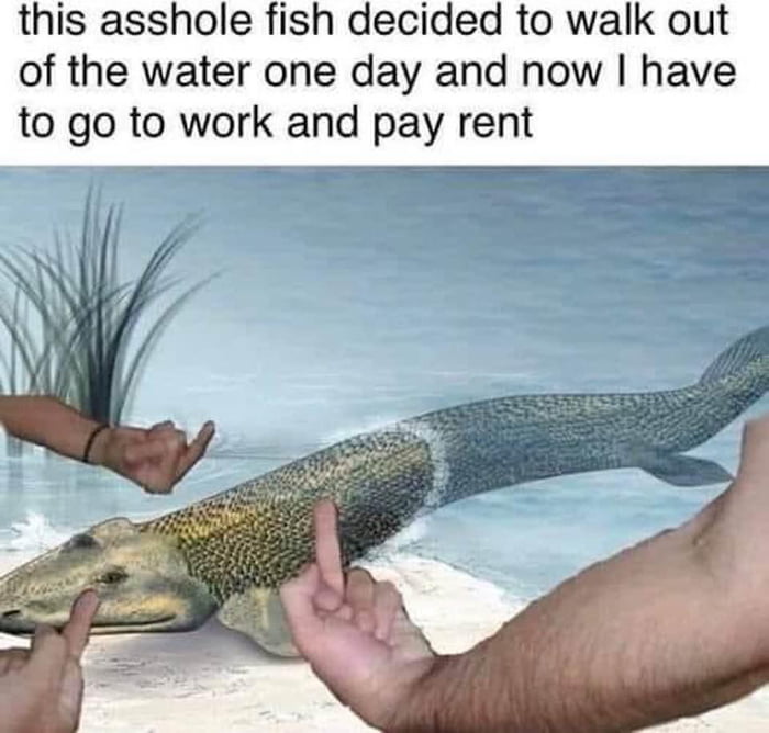 aA0VV19_700b