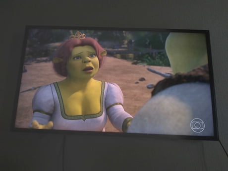 Fiona & Shrek first date - 9GAG