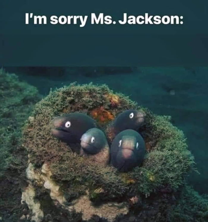 Never meant to make your Daughter cry, but I am four fish and not a guy! 9GAG