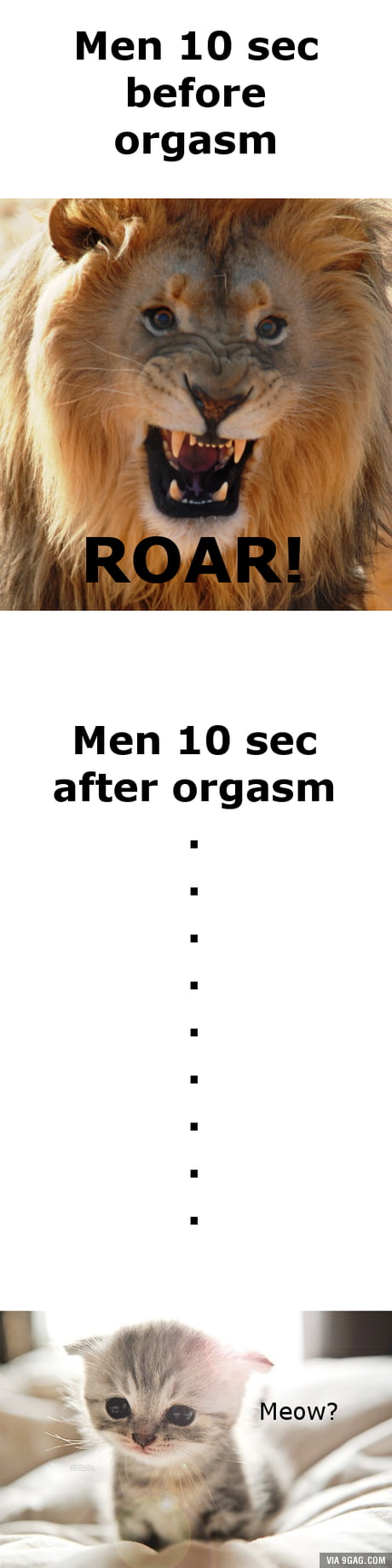 Guys before and after sex - 9GAG