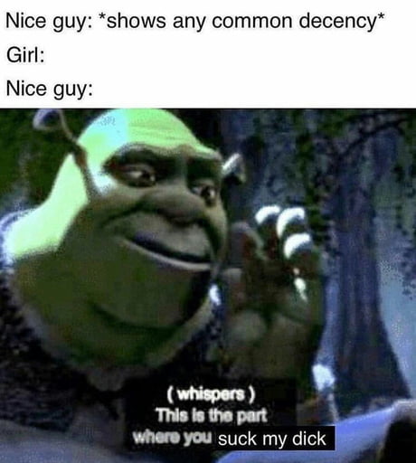 Nice Shrek meme - 9GAG