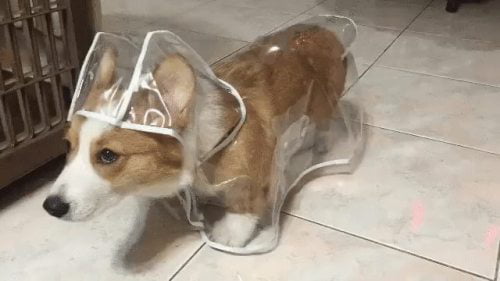 Ready for the rain!