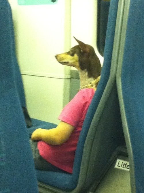 ANuBiS?