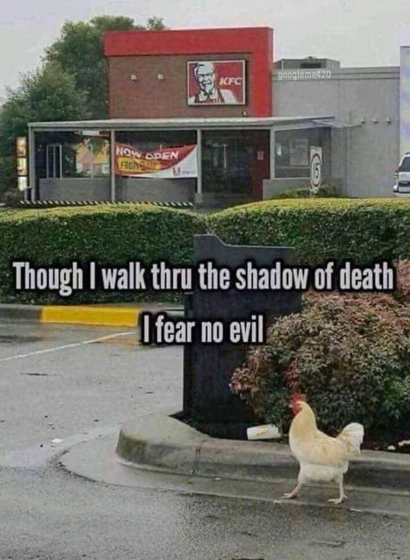 Why Did The Chicken Cross The Road Tho 9gag