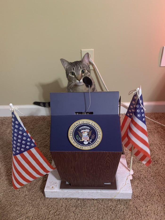President of the United Cat States - 9GAG
