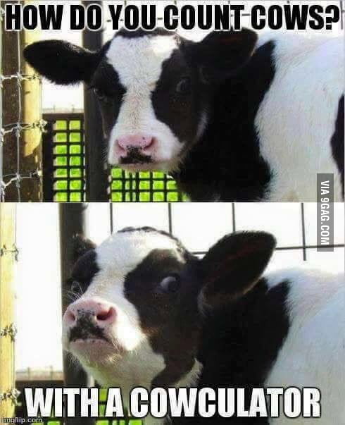 The joke of the day 9gag