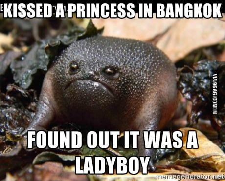 german black rain frog