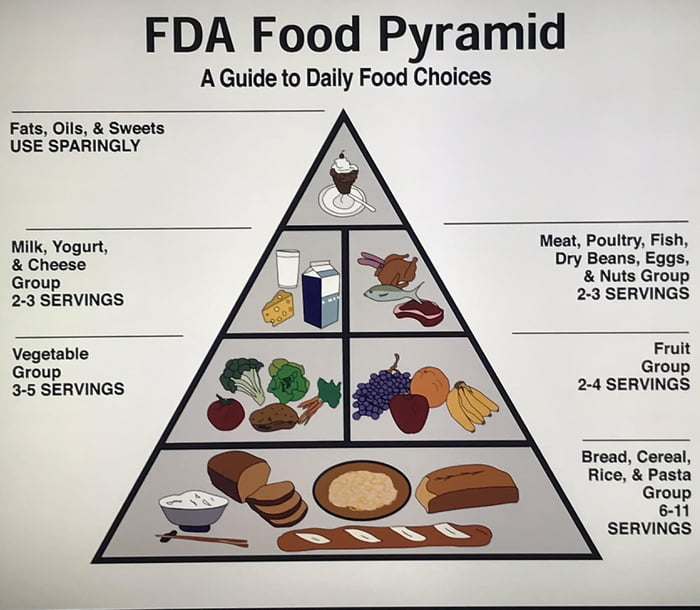 1973 America beats Sweden at creating first food pyramid by one year