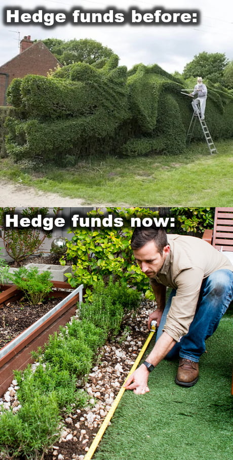 Best Funny hedge funds Memes - 9GAG Best Funny hedge funds Memes - 9GAG