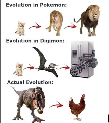 How Evolution Works