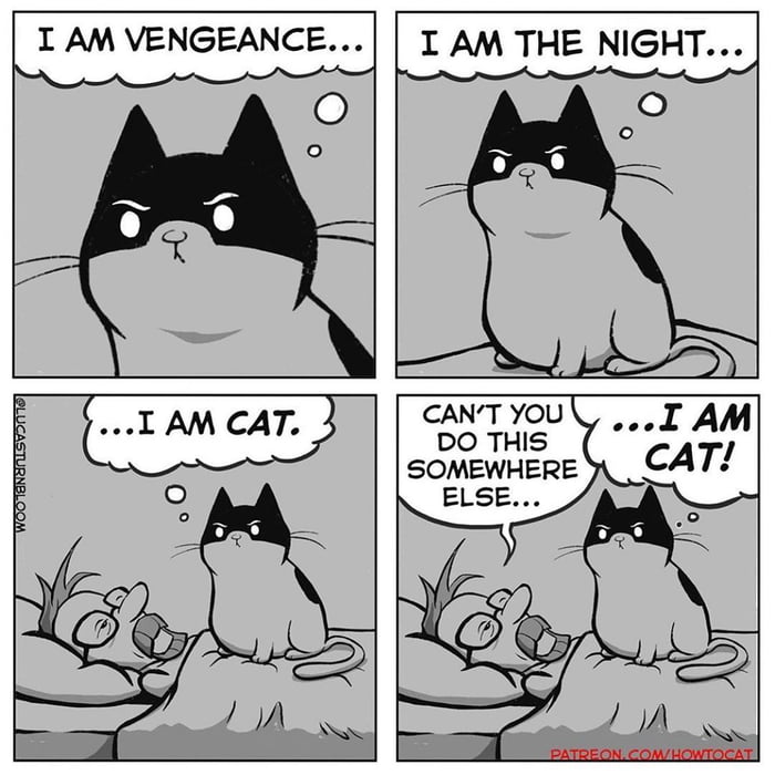 Cartoonist Shows The Reality Of Living With A Cat - 9GAG