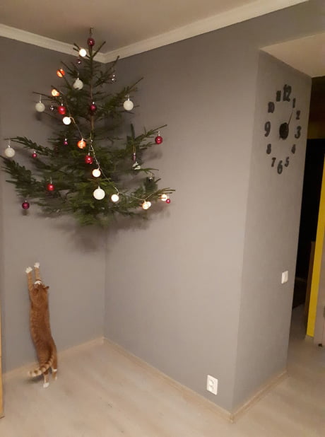 cat safe xmas tree
