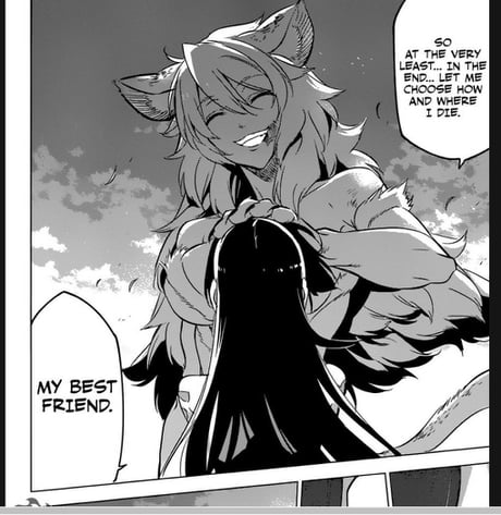 Akame Ga Kill! manga and anime ending differences explained