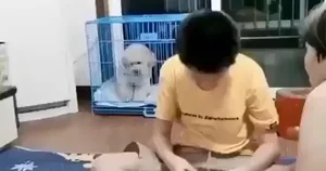 Uixsqiomdbwlm