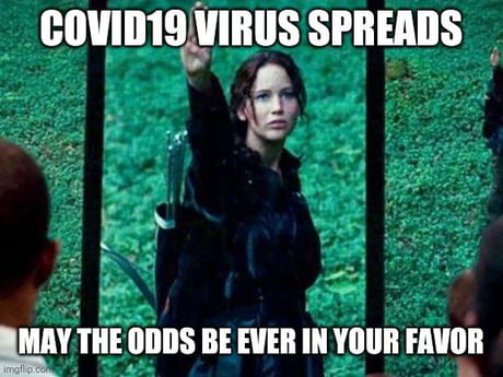 hunger games meme may the odds