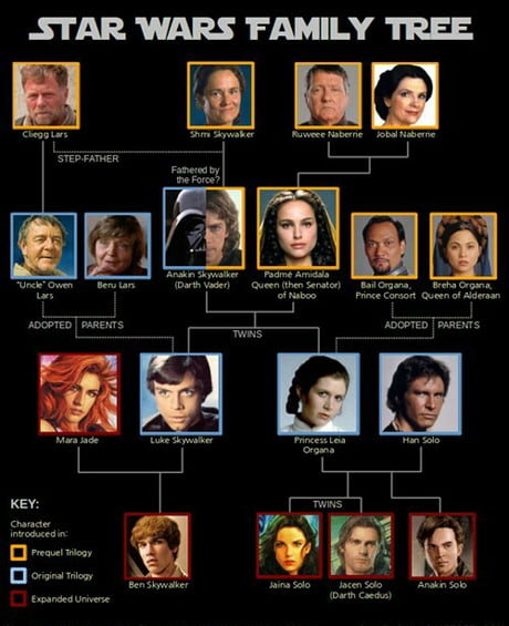 taylor lautner family tree