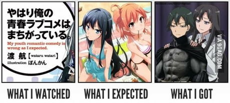 Harem anime in a nutshell - 9GAG