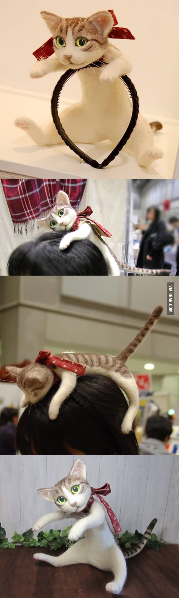 Cat Hairband Lets You Wear An Entire Kitten On Your Head 9gag