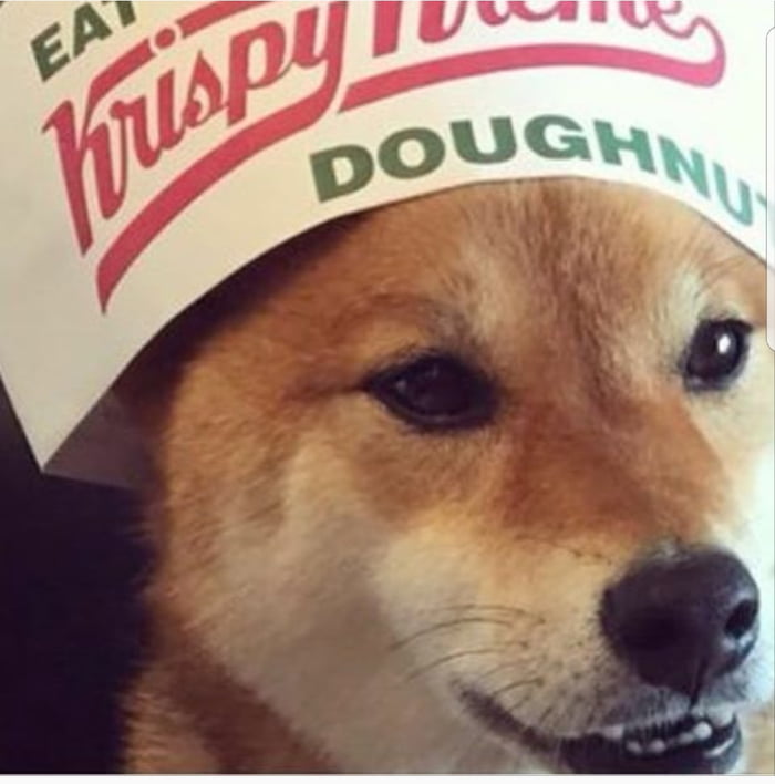 Ｋｒｉｓｐｙ ｂｏｙｅ