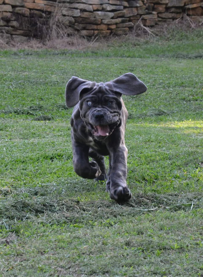 The derp is strong in this girl!