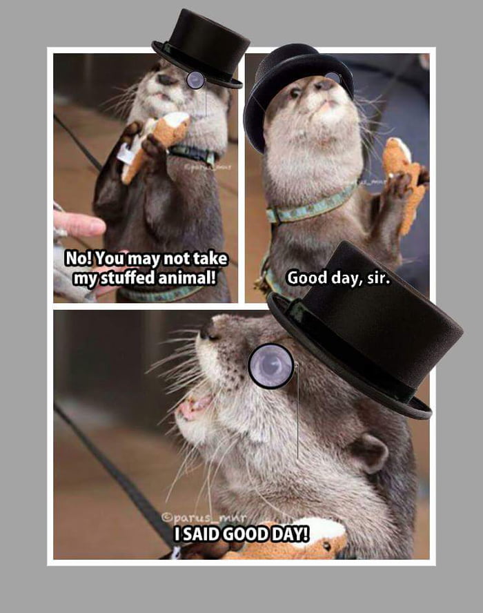 Good day sir!
