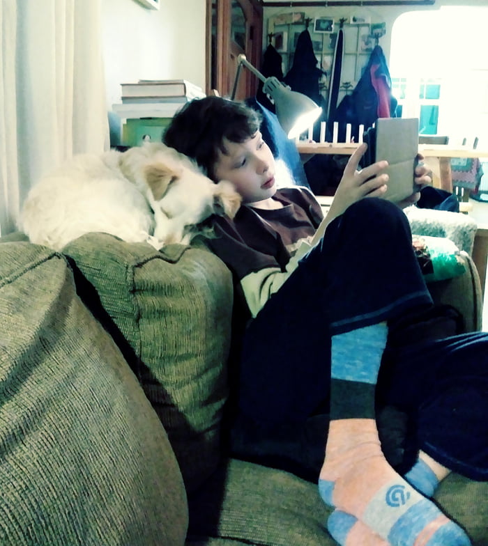 A rescuepup and his boy