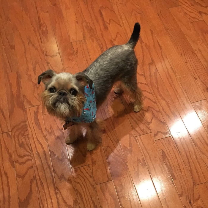 T I N E Y B O Y E