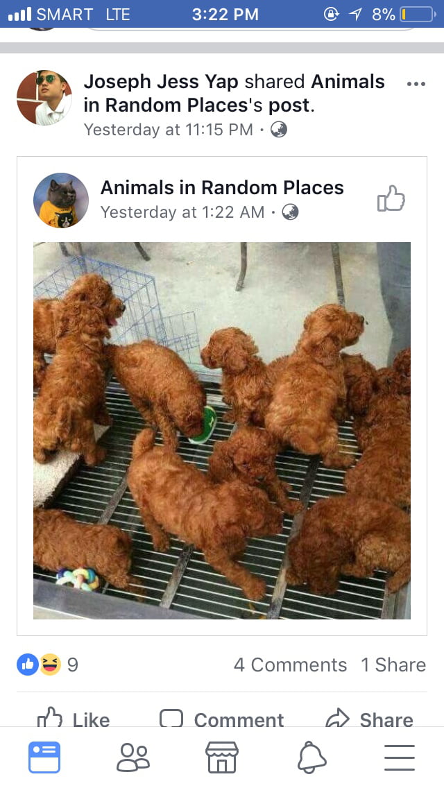 I thought they were fried chickens ๐