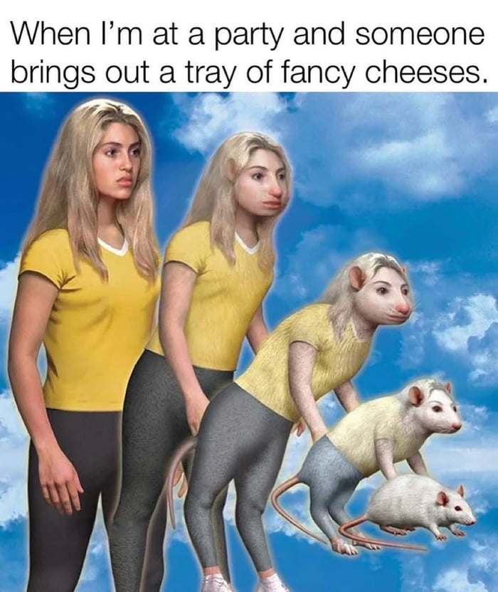 I like cheese