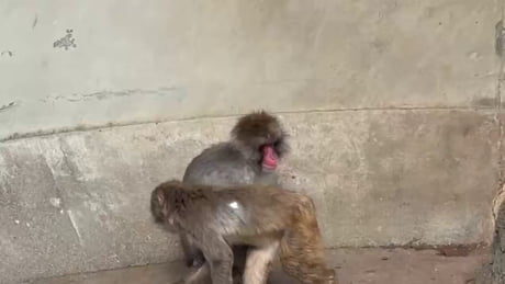 After days of rejection punch finally felt warmth of love