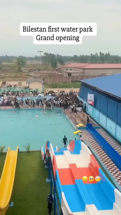 At least they have fun