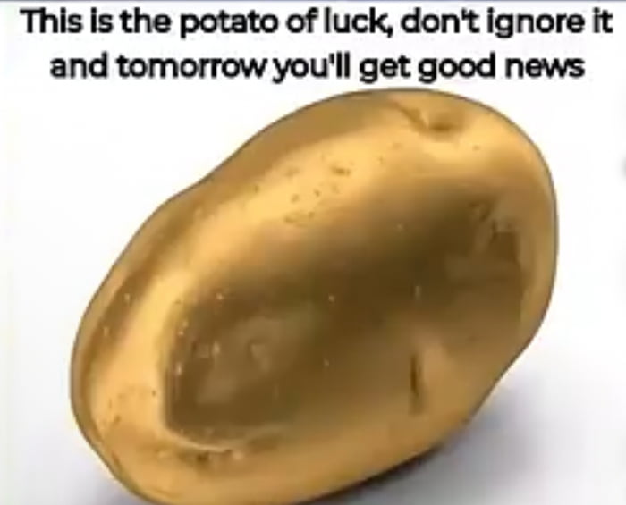 Wishing all fellow 9 gaggers a lit New year.