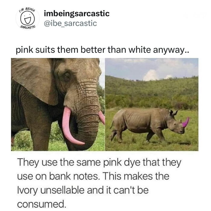 Pink really is their color
